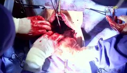 수원↓밤전 ∵공덕룸보도 인천룸보도 수원룸보도 룸보도∵㏂♀