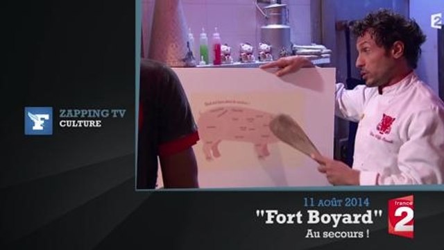 Zapping TV : Michel Drucker fait des câlins à un bébé phoque