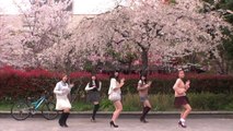 ℃-ute 桜チラリで 『桜チラリ』