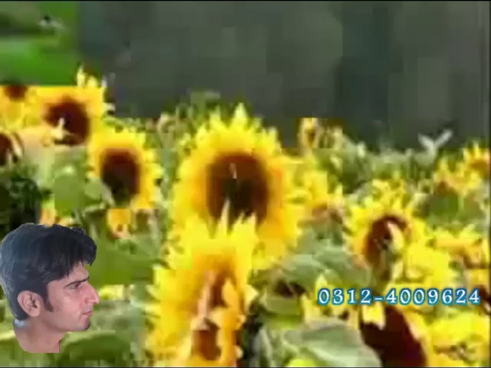 new punjabi songs