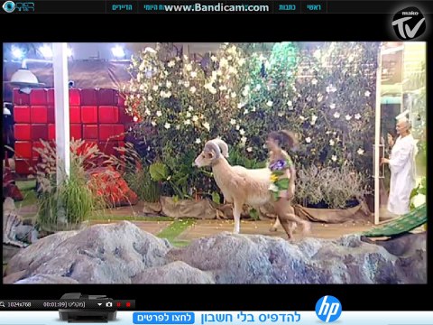 אמא של נופר. כל האינטרקציה שהיתה איתה. רואים שלחשה לה משהו. לא הצלחתי לברר מה