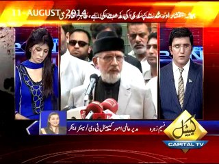 Nasim Zehra Comment on Imran Khan and Tahir-ul-Qadri Press Conf 11-August-2014