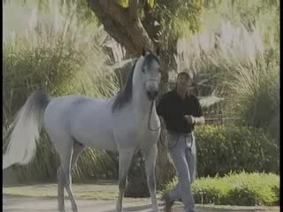 Om El Shahmaan