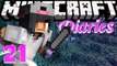Minecraft Diaries [Ep.21] - Fires, Hearts, and Horsemobs!