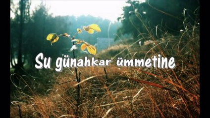 Tuncer Yolal - Aleyke Ya Habiballah 2014 (ilahi)