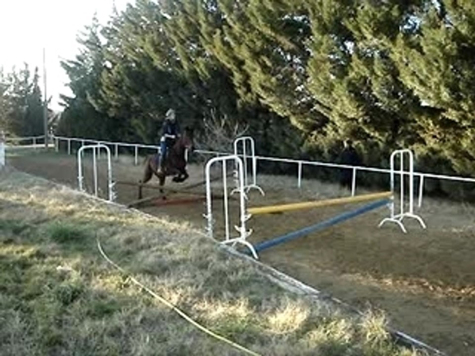 Tulette Obst 11.02.07 015