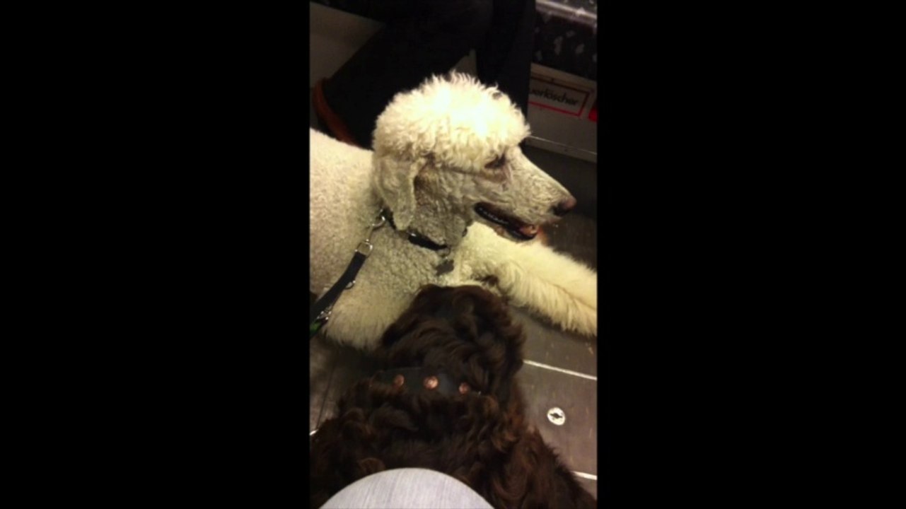 Für's putzen gibt's ein Küsschen...