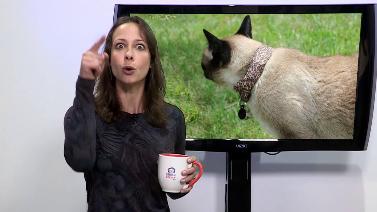 Wi-Fi Sniffing Cats and the iPhone 6? - GeekBeat.TV