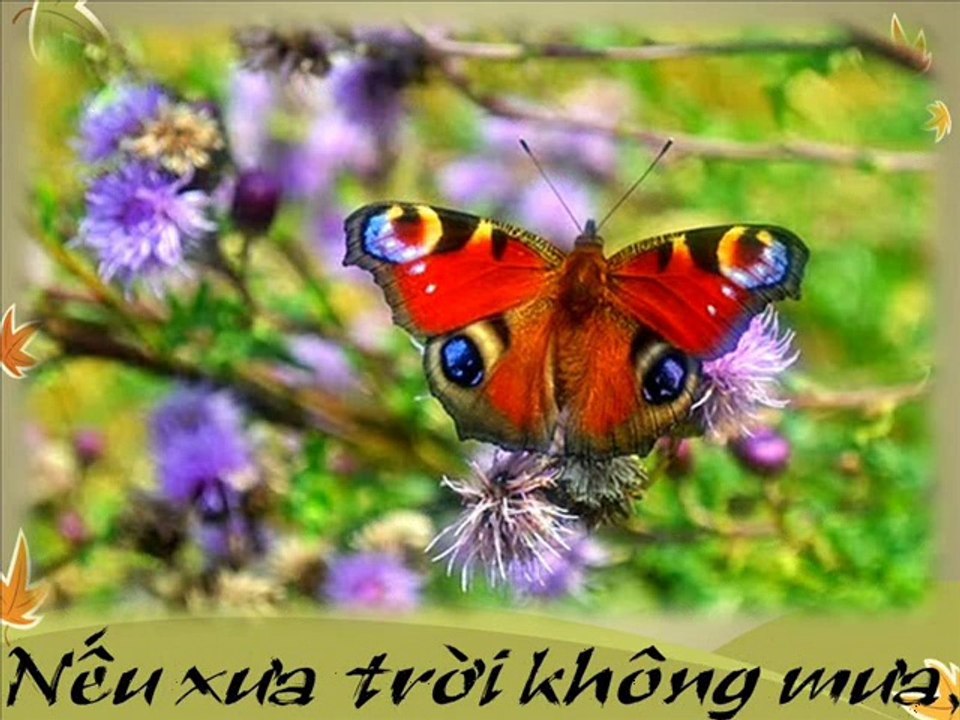 Phạm Đức Nghĩa trình bày" Tôi Đưa Em Sang Sông" show Caroline Thanh Hương