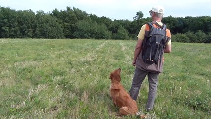 Travail Ikio 09-08-2014