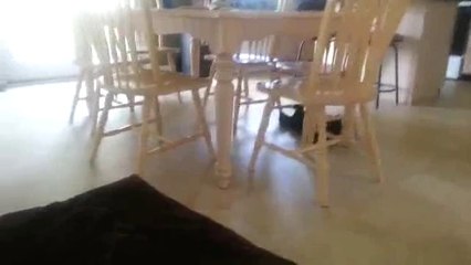 ↓바카라체험머니◁▦◐▷ YAM ７７７.℃OM ◀◑▷바카라체험머니바카라체험머니바카라체험머니바카라체험머니바카라체험머니바카라체험머니바카라체험머니바카라체험머니