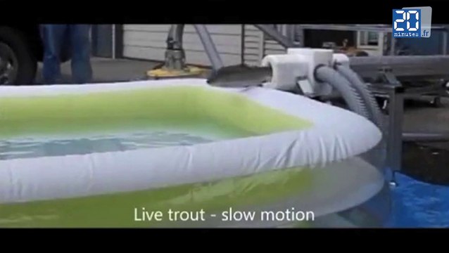 Le patator à saumon: Un canon pour déplacer les poissons