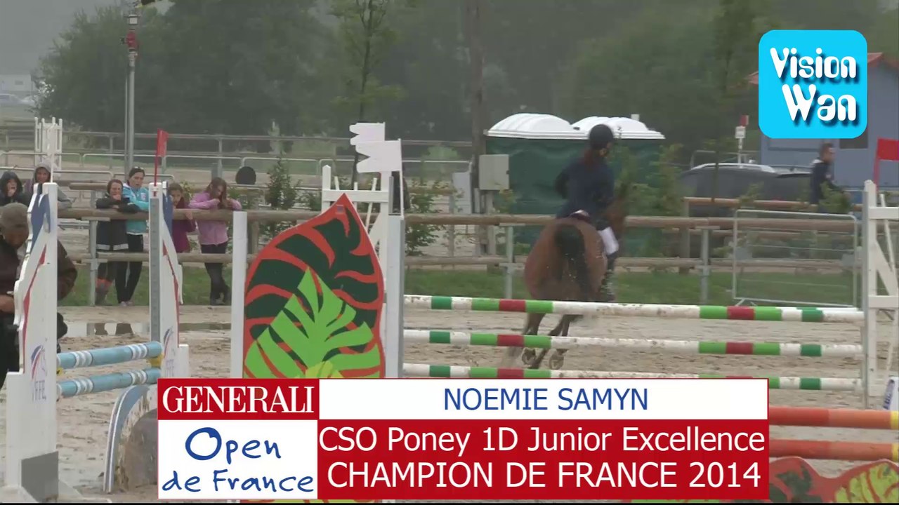 cso poney 1 d junior excellence
