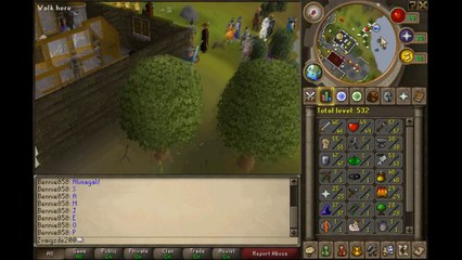 PlayerUp.com - Buy Sell Accounts - selling runescape account(10)