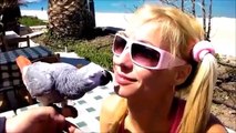 Papağanla Öpüşen Kadın - Parrots kissing woman