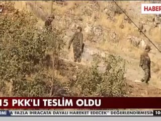 Şırnak'ta PKK ve KCK'lı 15 Terörist Teslim Oldu