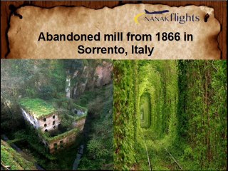 Relinquished Places That Look Delightful