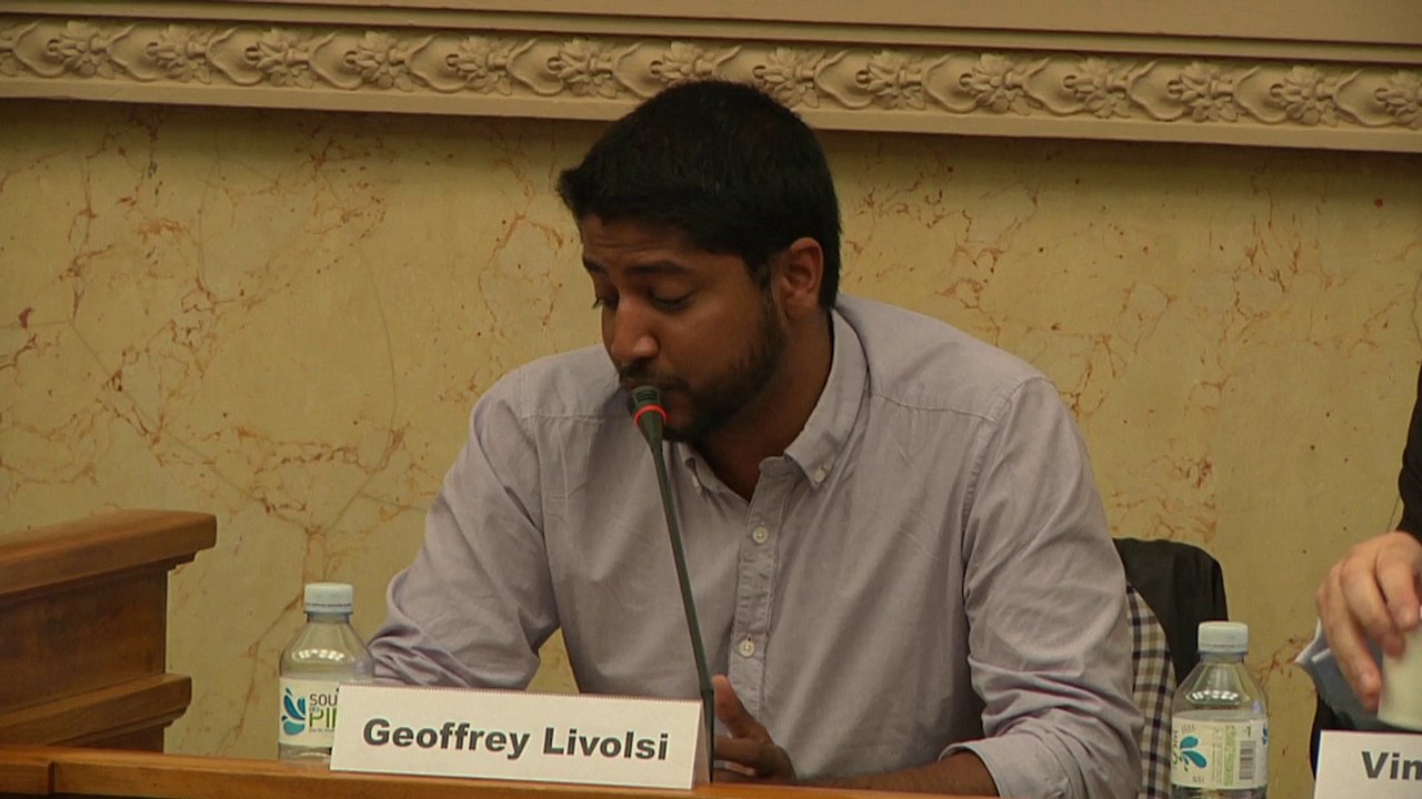 Geoffrey Livolsi colloque Paradis fiscaux 2014