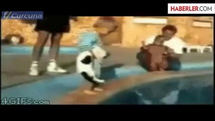 Şaka Yapayım Derken Rezil Oldular