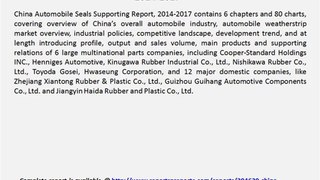 China Automobile Seals Supporting Report, 2014-2017