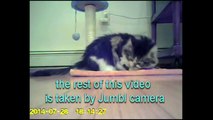 Jumbl™ Mini Hidden Spy Camera Radio Clock Infrared Night Vision