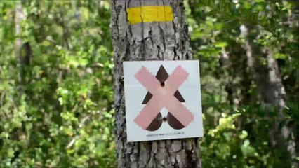 Single 2 Greoux - 20140810 - Dailymotion