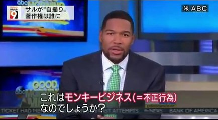 14 08 11 AK NW9　著作権　猿　自撮り