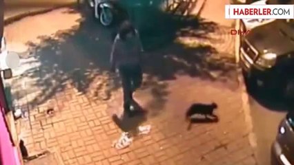 2 Yavru Kediyi İşkenceyle Öldürdü