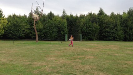 Château de Versailles Guiseppe Penone