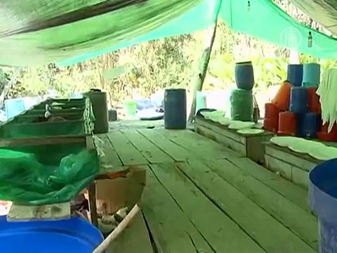 Крупную кокаиновую лабораторию нашли в Боливии