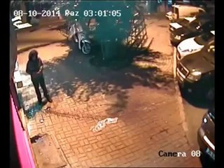 Yavru kedileri ezerek öldürdü!