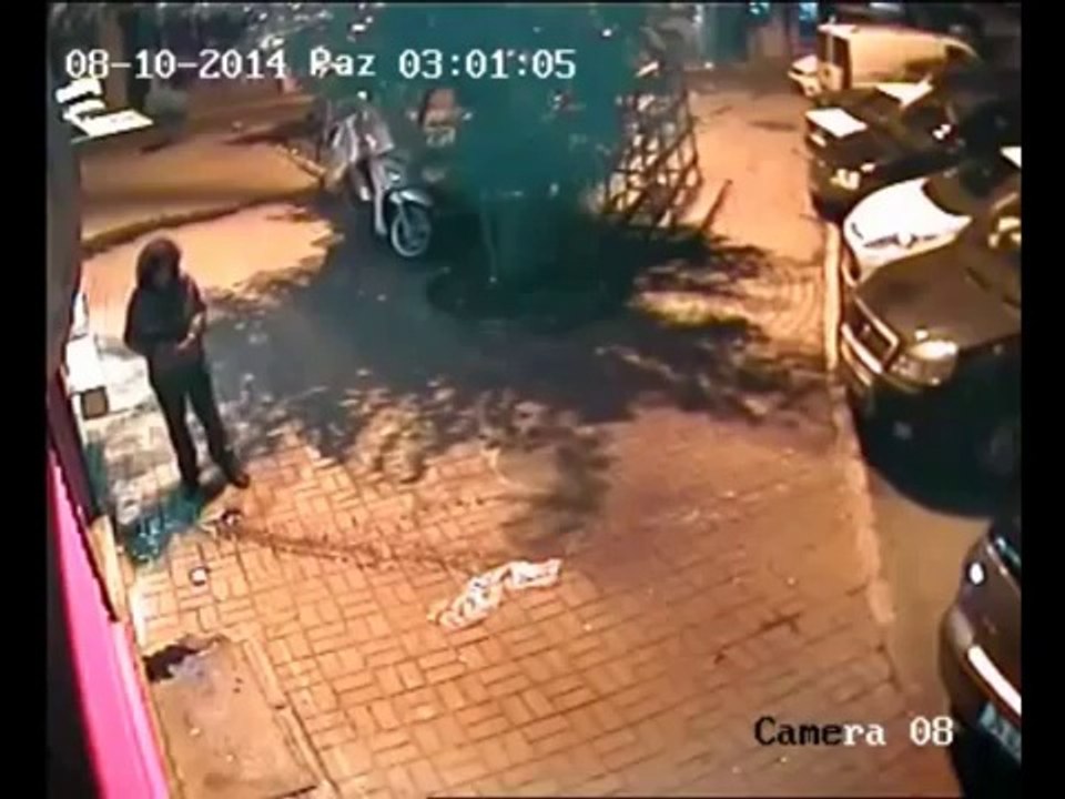 Yavru kedileri ezerek öldürdü!