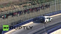 Spain: 700 migrants try to jump Melilla border fence