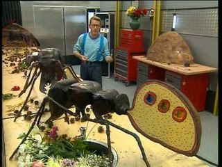 C'est pas sorcier - Les fourmis