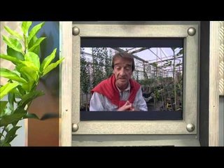 C'est pas sorcier -Les agrumes