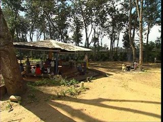 C'est pas sorcier -CAFE :  LES SORCIERS VEILLENT AU GRAIN