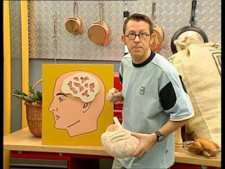 C'est pas sorcier -FILIERES DE LA VIANDE