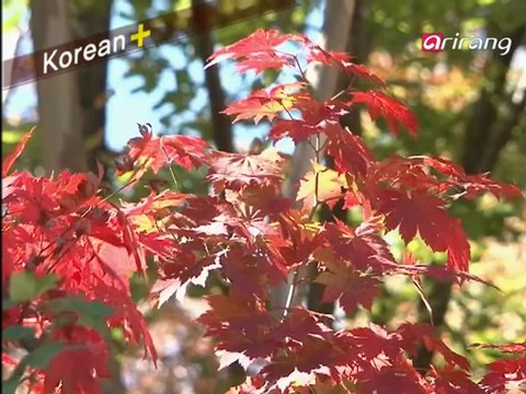 Traveler's Korean(Japanese 日本語) S2Ep04 もしもし 여보세요.