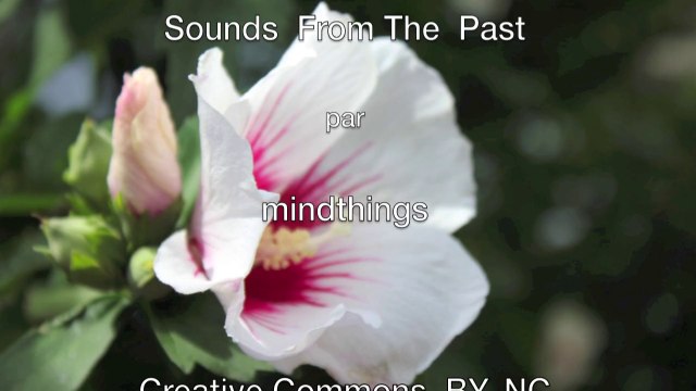 Michel Erb Sensei à Voiteur Août 2014