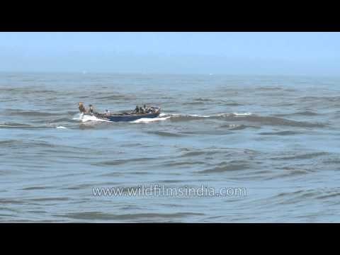 Fishing boats on Arabian sea: Neendakara, Kerala