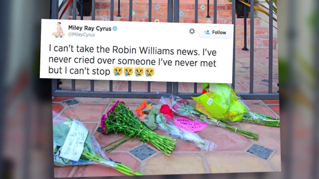 Celebrities Pay Tribute to Robin Williams - Watch Online