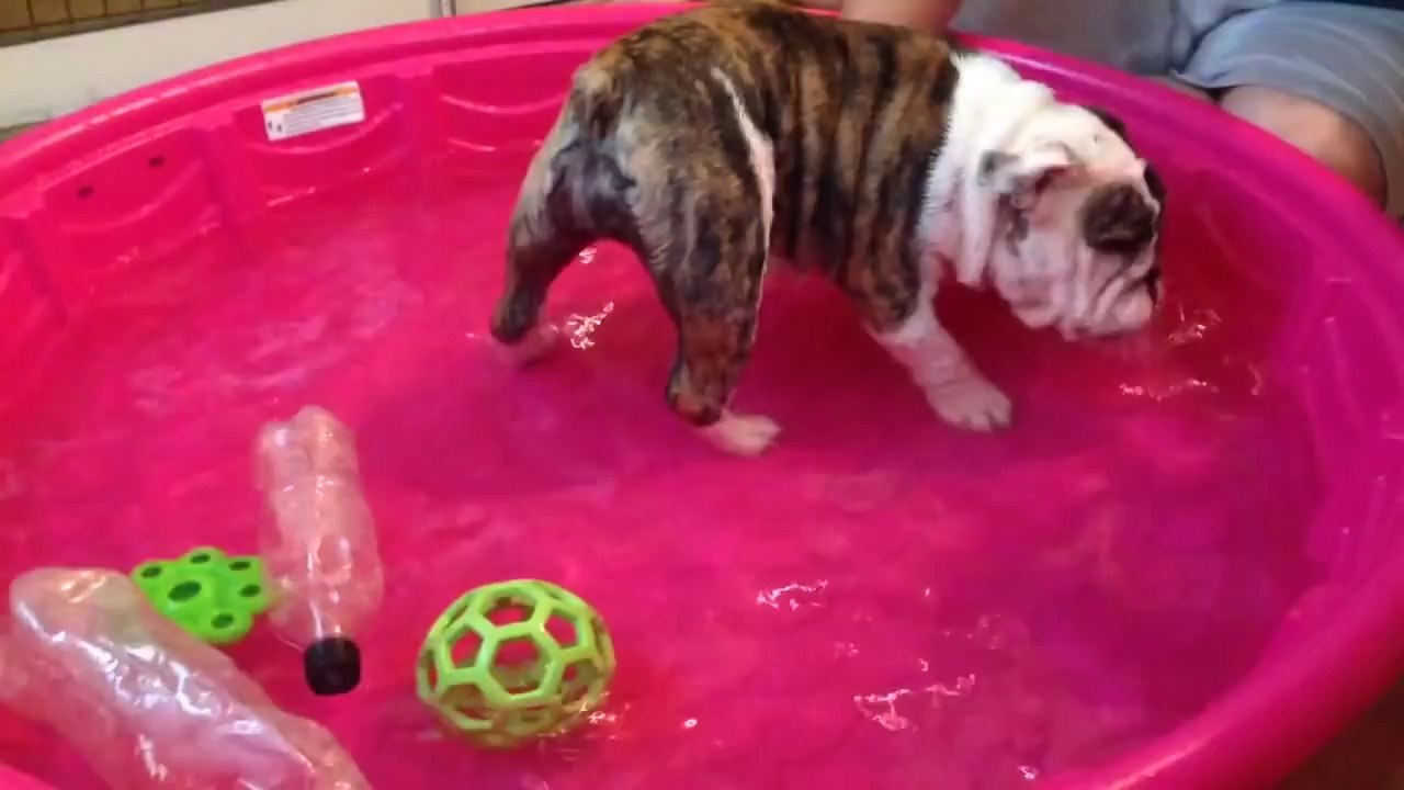 Agnes playing in baby pool