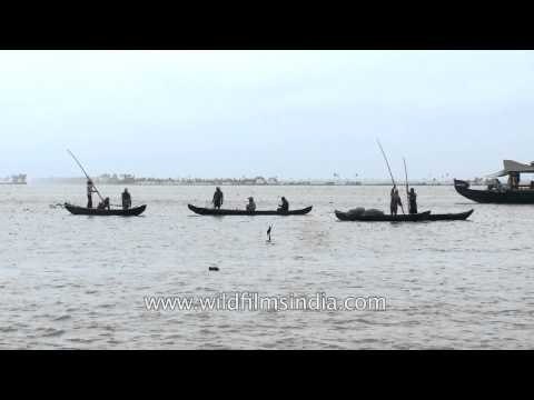 Fishermen in action on Lake Vembanad - Kerala