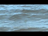 Waves crashing against rocks on Neendakara beach, Kerala