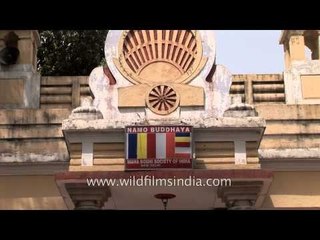 Maha Bodhi Society of India, Delhi center