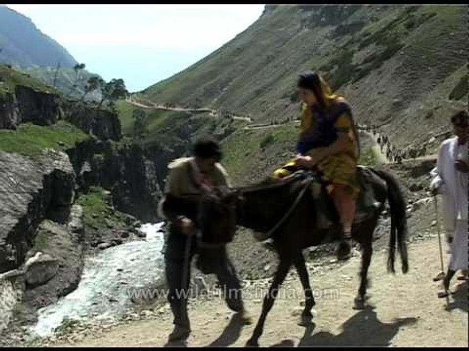 Pilgrims travel by foot, ride ponies to reach Amarnath holy cave