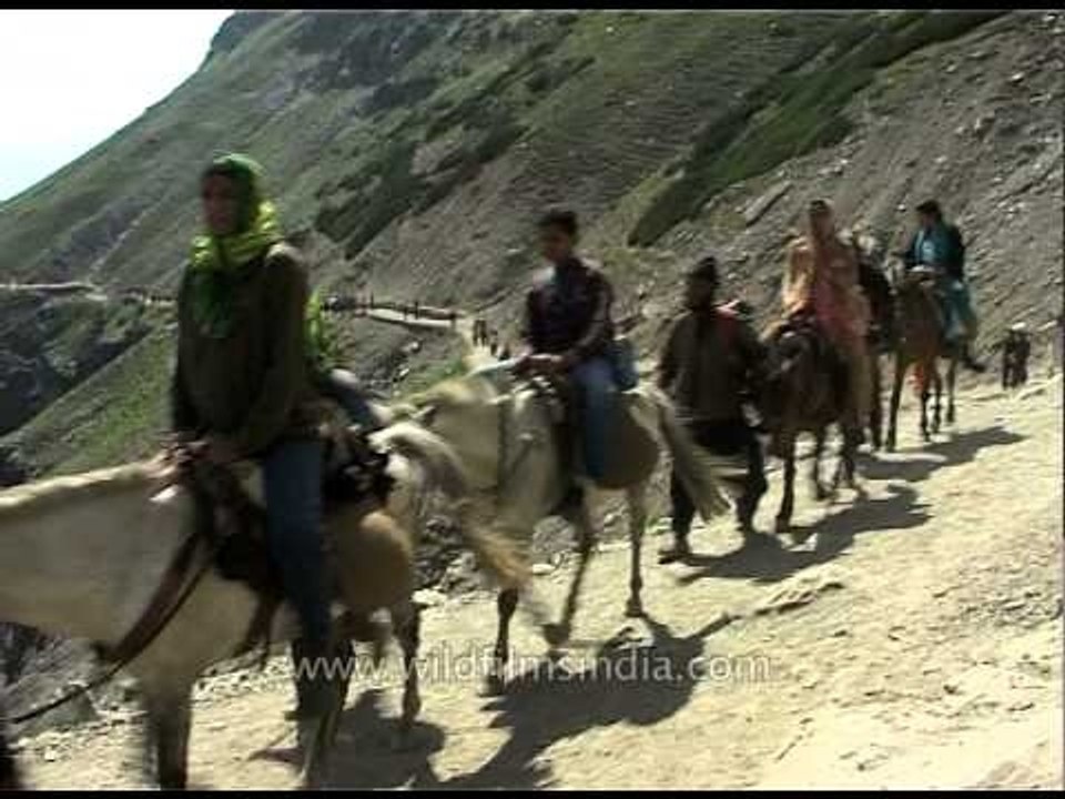 Pilgrims on trail: Amarnath Yatra