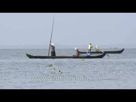 Boatmen fishing on Vembanad Lake in Kerala