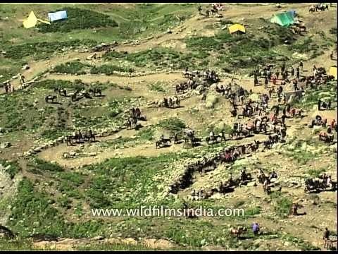 View of Amarnath devotees from top - Amarnath Yatra